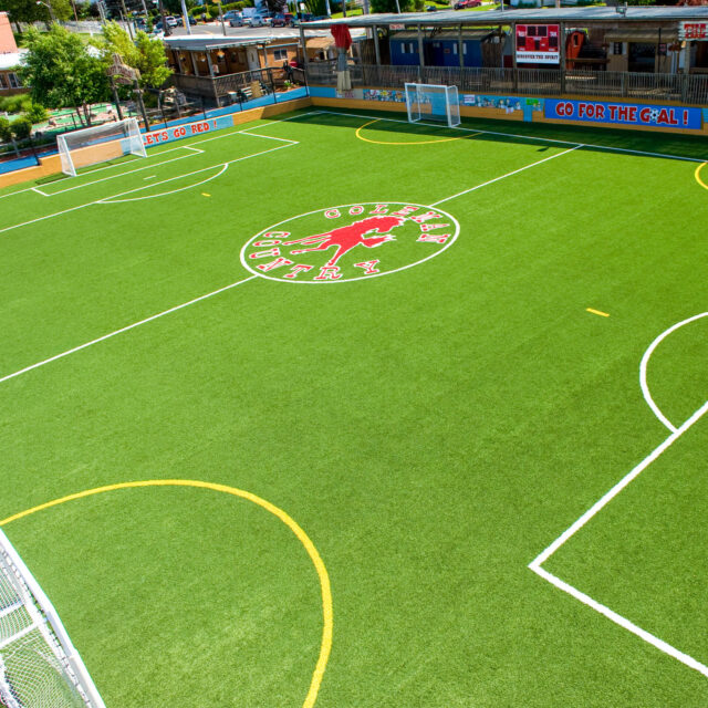 Ariel view of the soccer field.