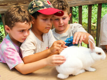 Three boys petting a bunny.