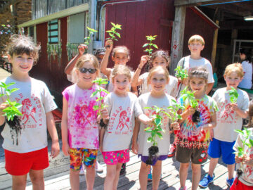Group of campers planting plants.