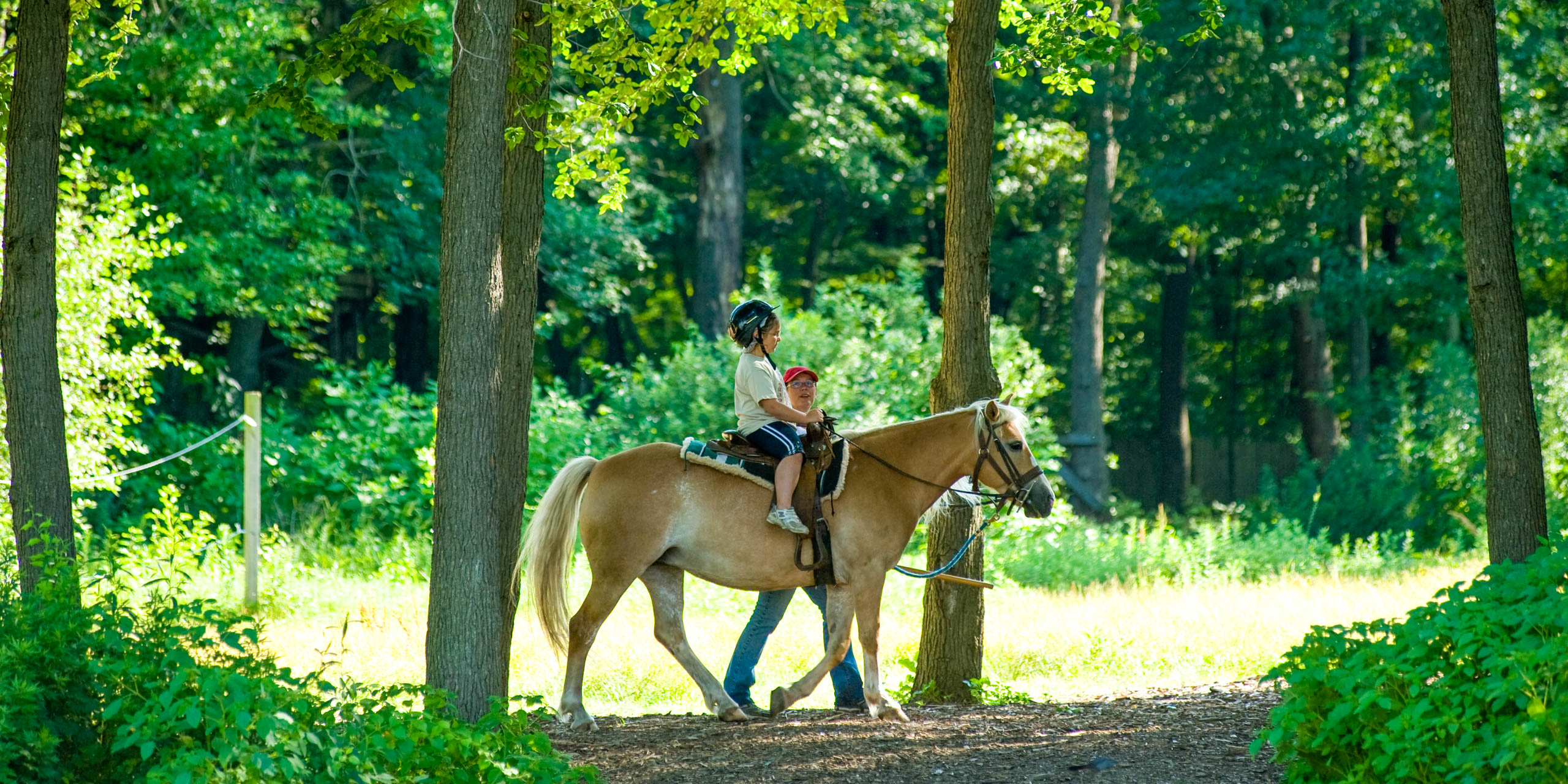 Camper riding a horse in the woods.