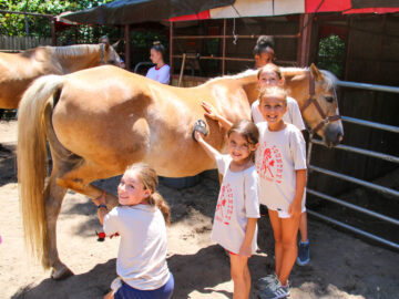 Campers grooming a horse.