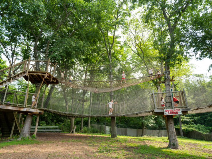 Campers walking between the tree houses on bridges.