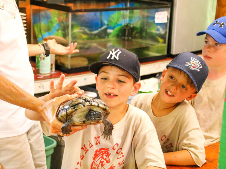 Campers petting a turtle.