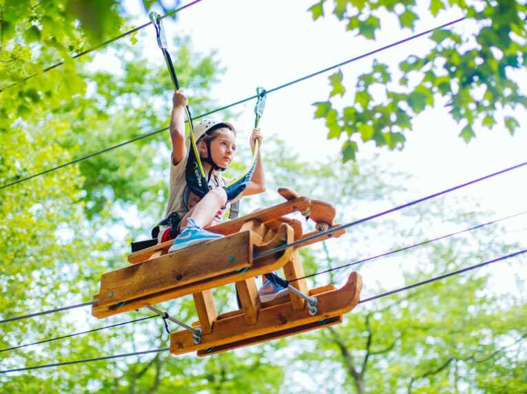 Camper rides zipline vehicle through tree canopy