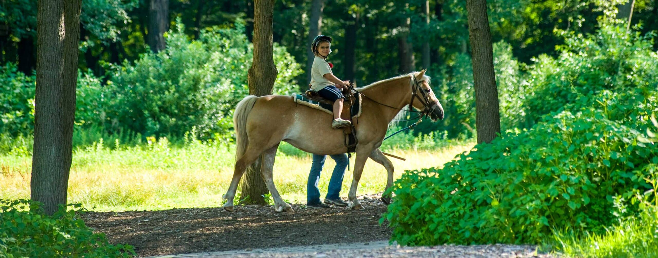 A camper riding a horse in the woods