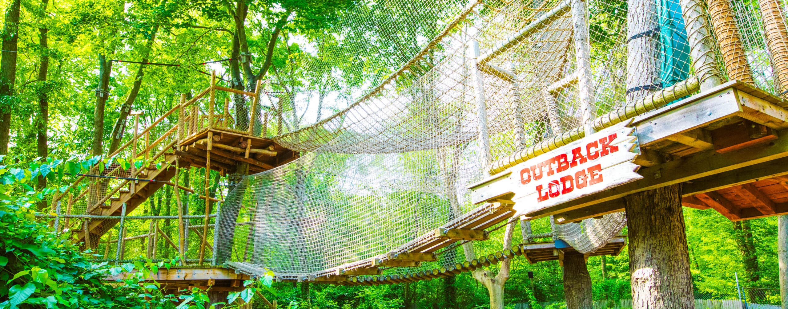 Tree house with bridge.